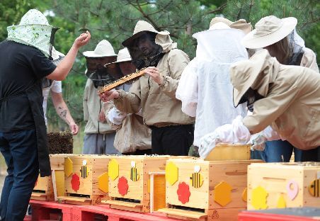 Apiary - To bee or not to bee?